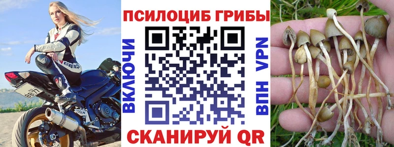 наркотики  Кимовск  Псилоцибиновые грибы мицелий 