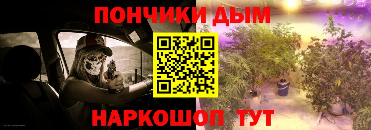 Шишки марихуана планчик Кимовск
